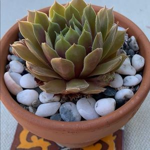 Meet your Posher, Kristin